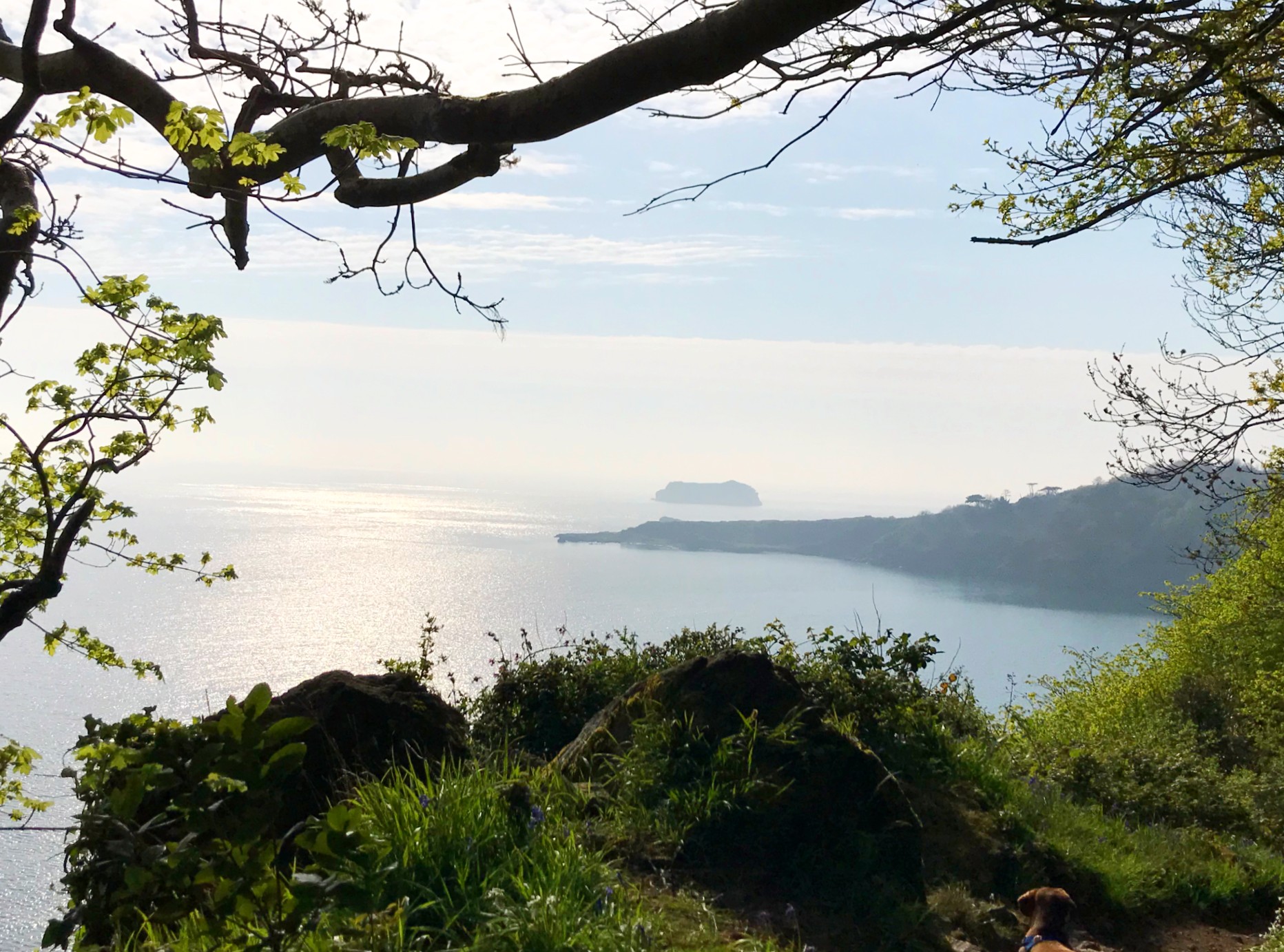 Last minute breaks in Torquay with stunning coastal scenery.