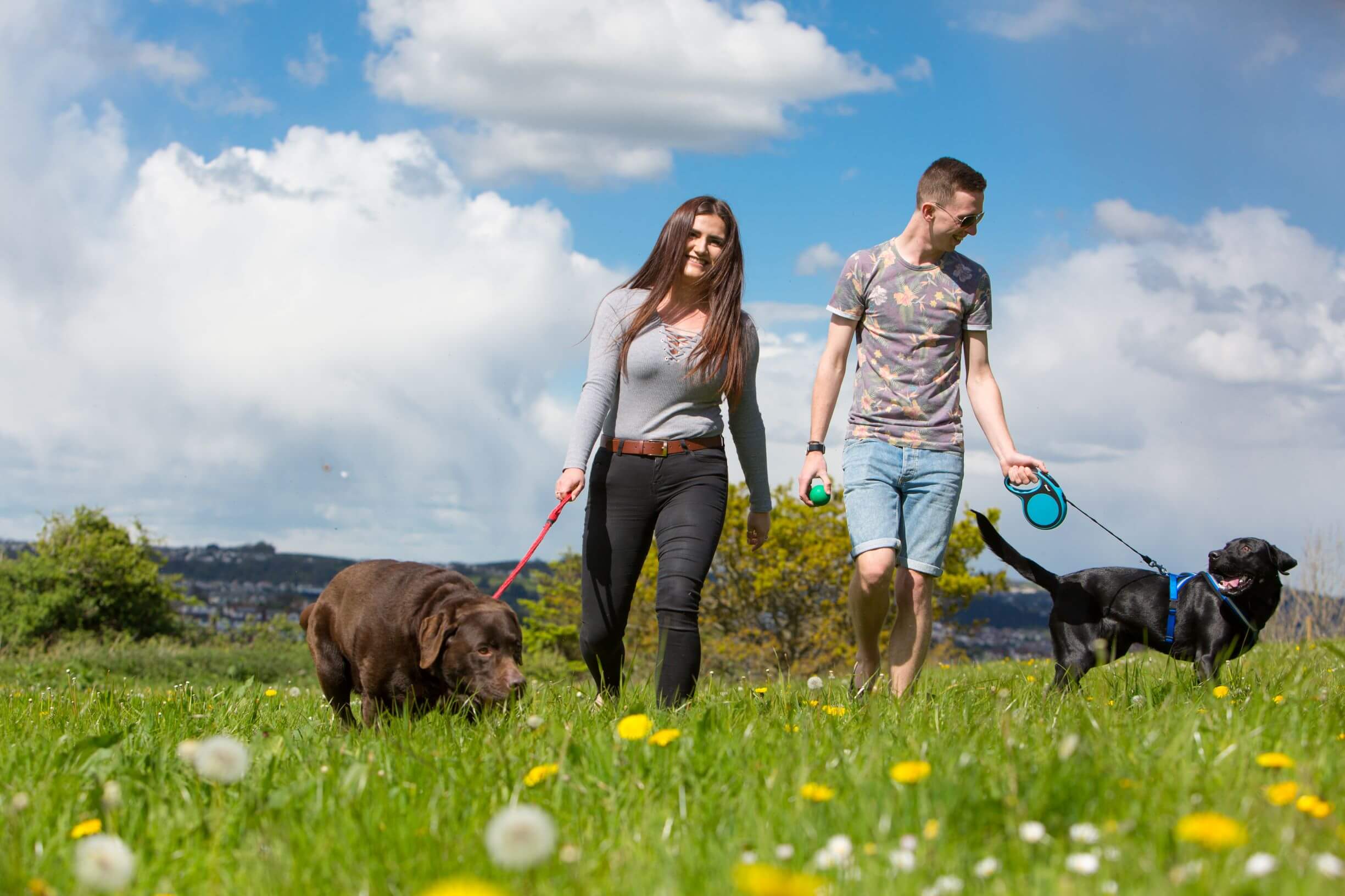 Dog Friendly Breaks in Torquay