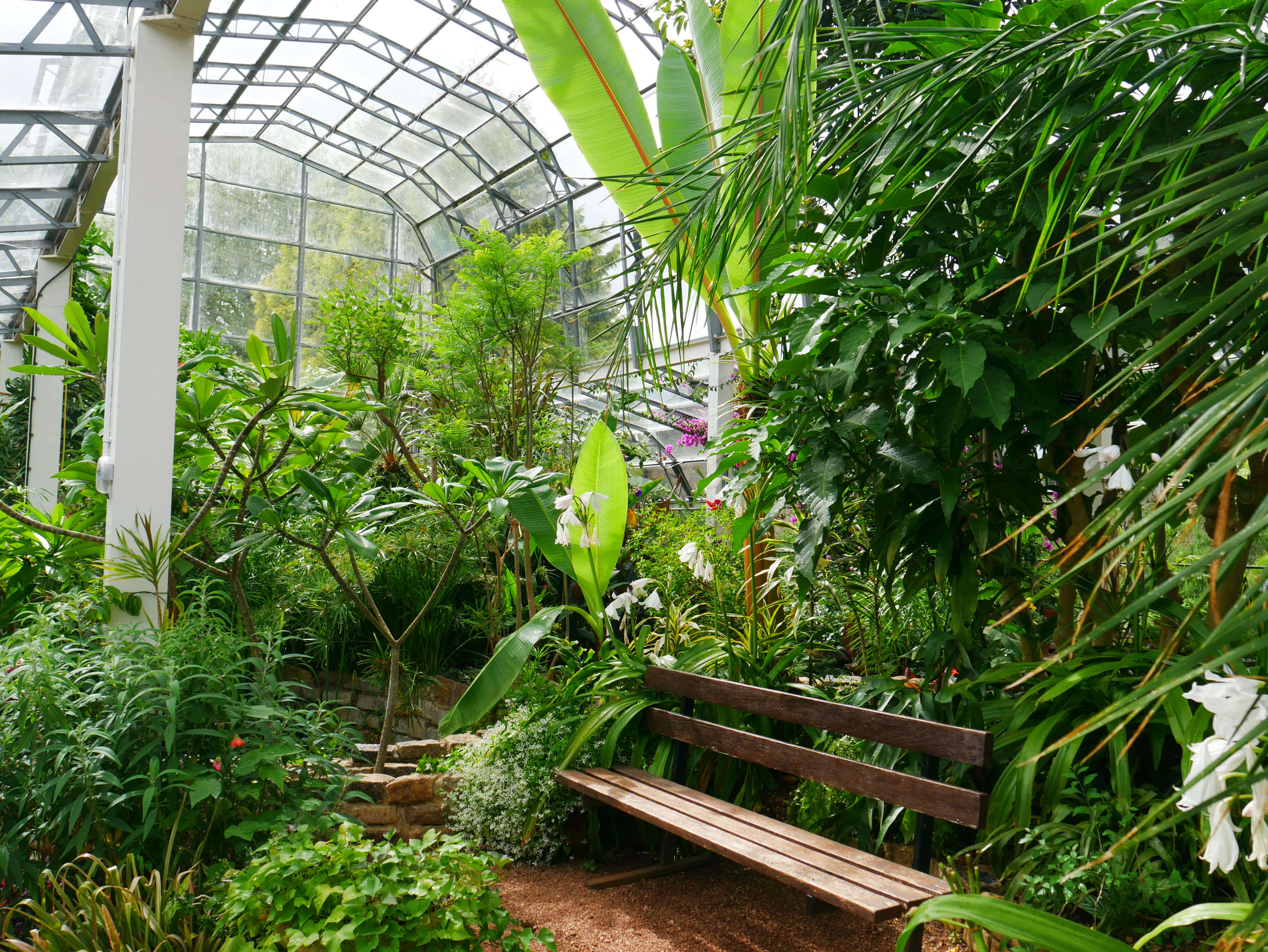 Short breaks in Torquay - the Palm House at Torre Abbey, an all year round attraction.